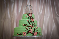 Shannon Seth Wedding 019