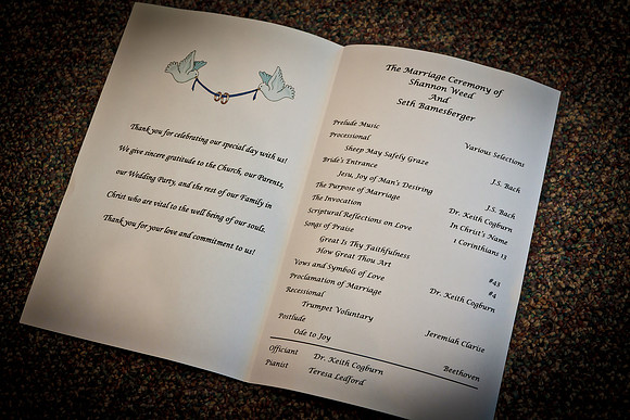 Shannon Seth Wedding 286