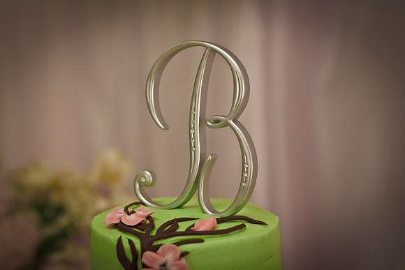 Shannon Seth Wedding 335