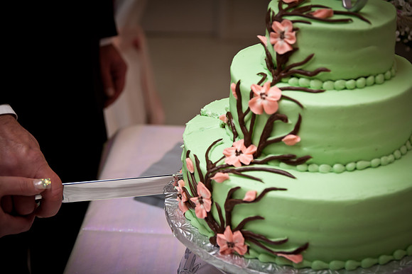 Shannon Seth Wedding 436