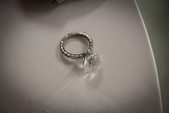 Shannon Seth Wedding 486