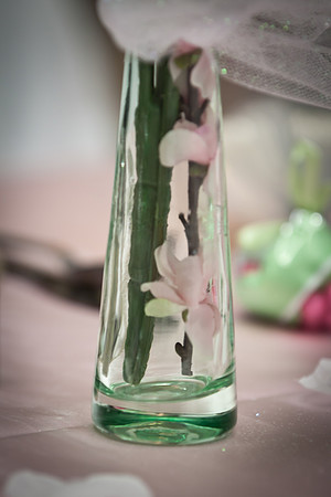 Shannon Seth Wedding 520