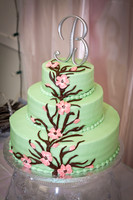 Shannon Seth Wedding 018
